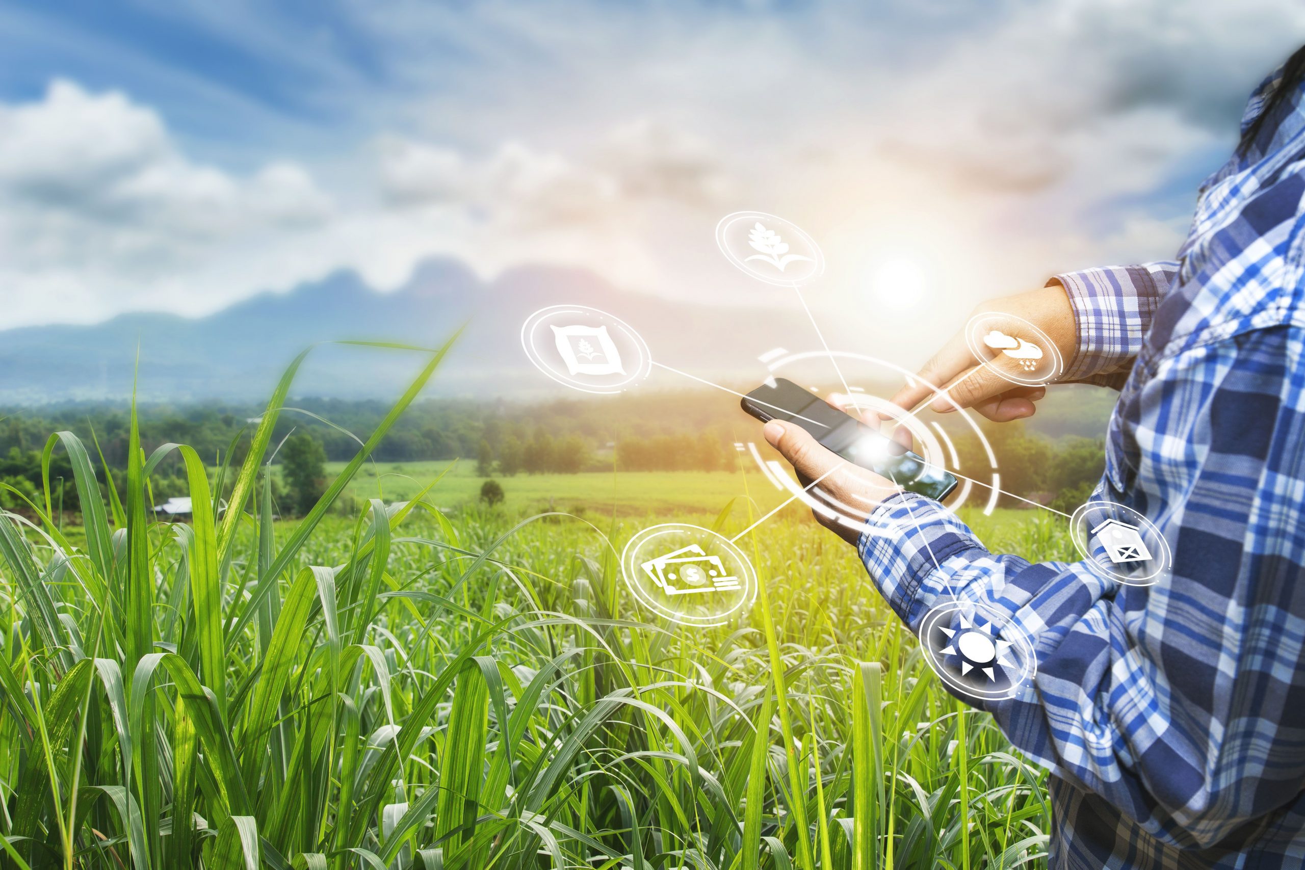 IoTaLinK Notre plateforme de transparence agroalimentaire unique de Gestion des données garantissant une traçabilité et une fiabilité optimale